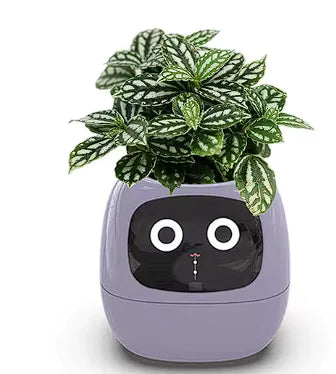 智能花盆：AI 驅動的植物養護助手